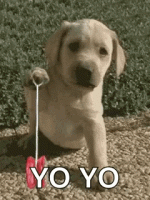 1000000345.gif
