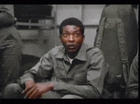 1000000330.gif